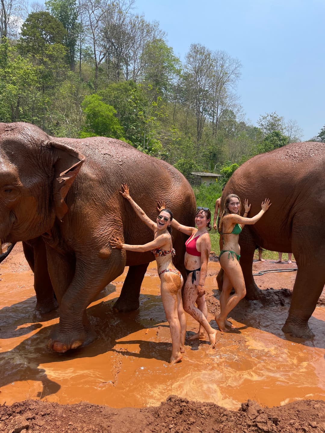 Elephant Sanctuary Chiang Mai